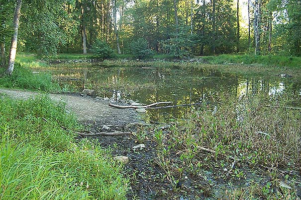 Svarta_dam